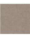 Beton Uni Taupe Gris Fonce 101481899