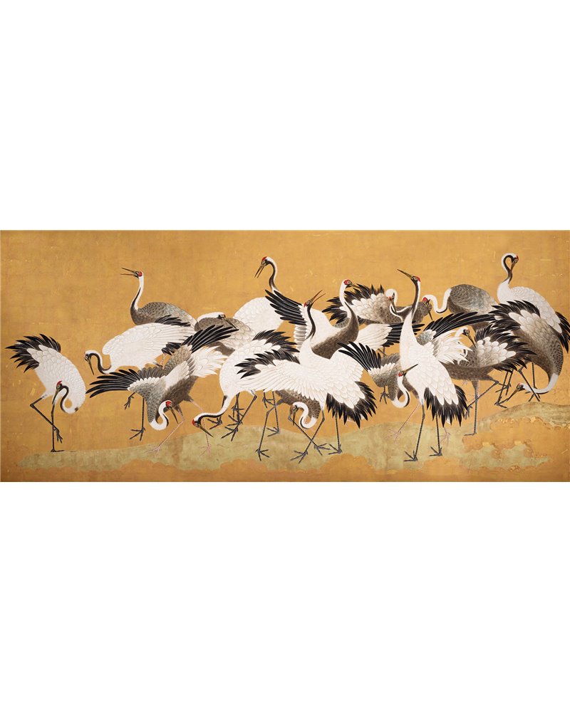 Crane Birds