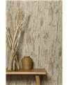 Arbore Noisette 6460-02