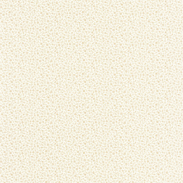 Myosotis Ficelle Blanc 89231111
