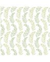 Mimosa Trail Olive JRD50111W