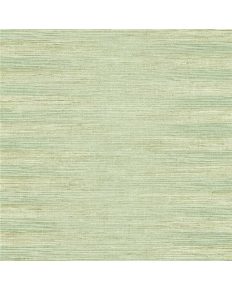 Kensington Grasscloth Evergreen ZHIW313008