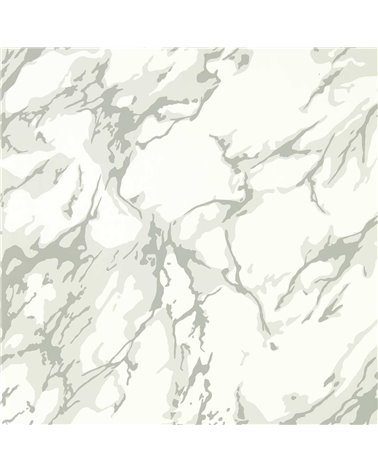 French Marble Empire Grey Perfect White ZCOT313026