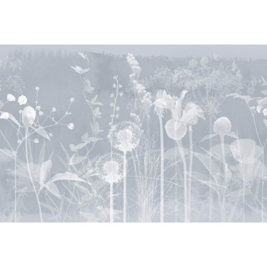 BLANCHE GLF162A