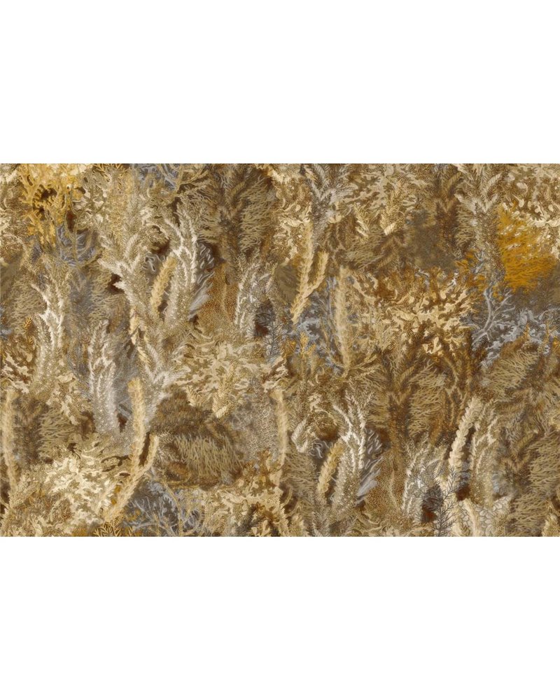CORAL GLRE821B