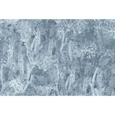 CORAL GLRE823A