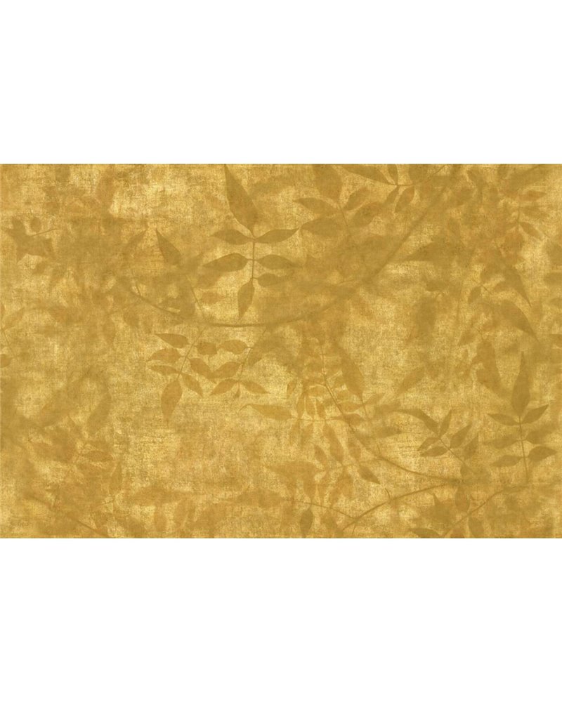 MIDAS GLGO101A