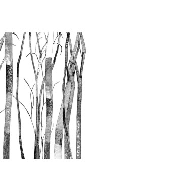 SHEER GLF311B
