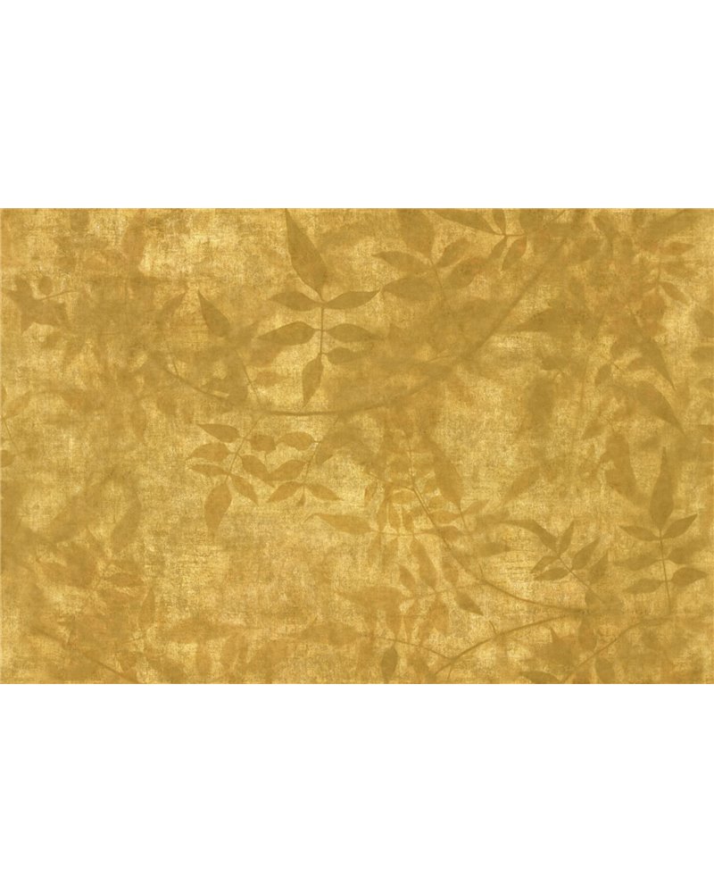 MIDAS GLGO101A