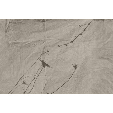 EUPRAXIA GLHY191A