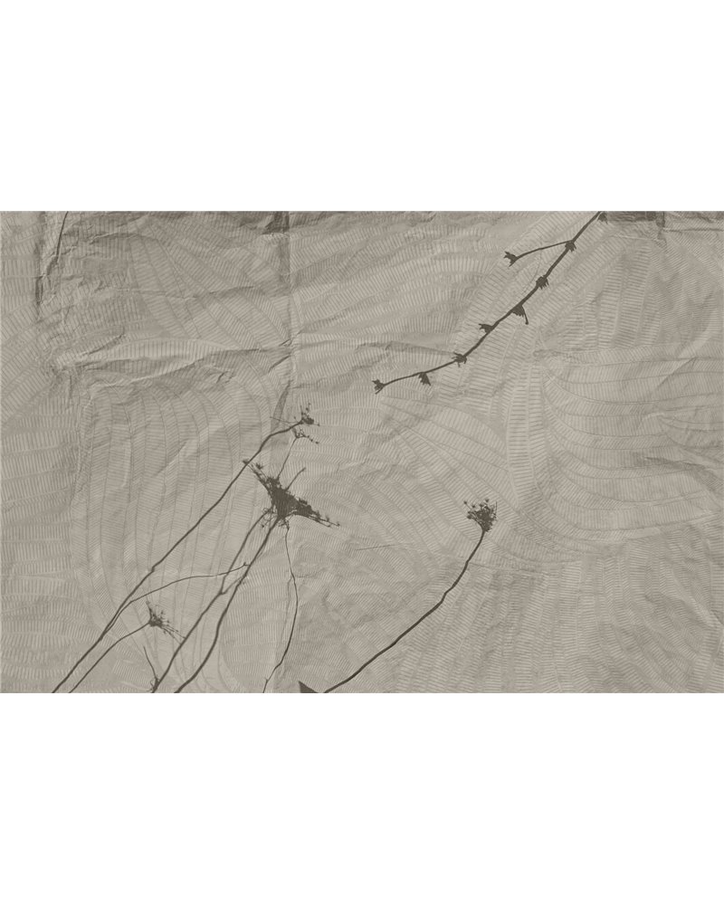 EUPRAXIA GLHY191A