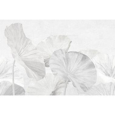 NAIDI RE-EDITION 17502-04