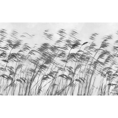GONE WITH THE WIND...