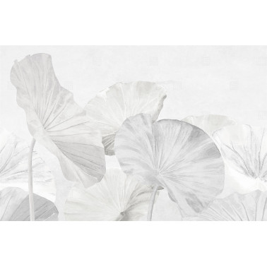 NAIDI RE-EDITION 17502-04