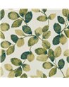Northia Olive Peacock W0159-03