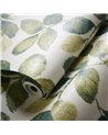 Northia Olive Peacock W0159-03