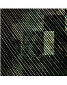 CLOROFILLA INKBOIC2301