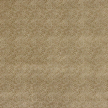 Titus Champagne M4120-02