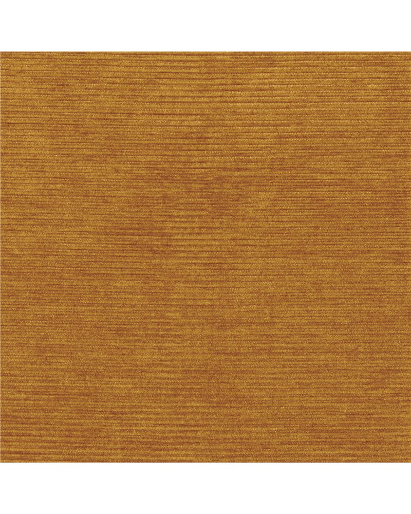 Ferveur Ambre 46121081 Ferveur Ambre 46121081
