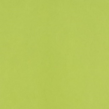 Papel Pintado P536-08 CHICHESTER - MOSS - Designers Guild