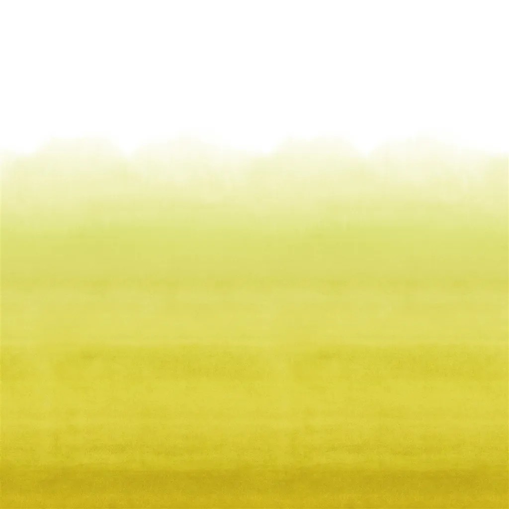 Shoshi Lemongrass PDG1163-07