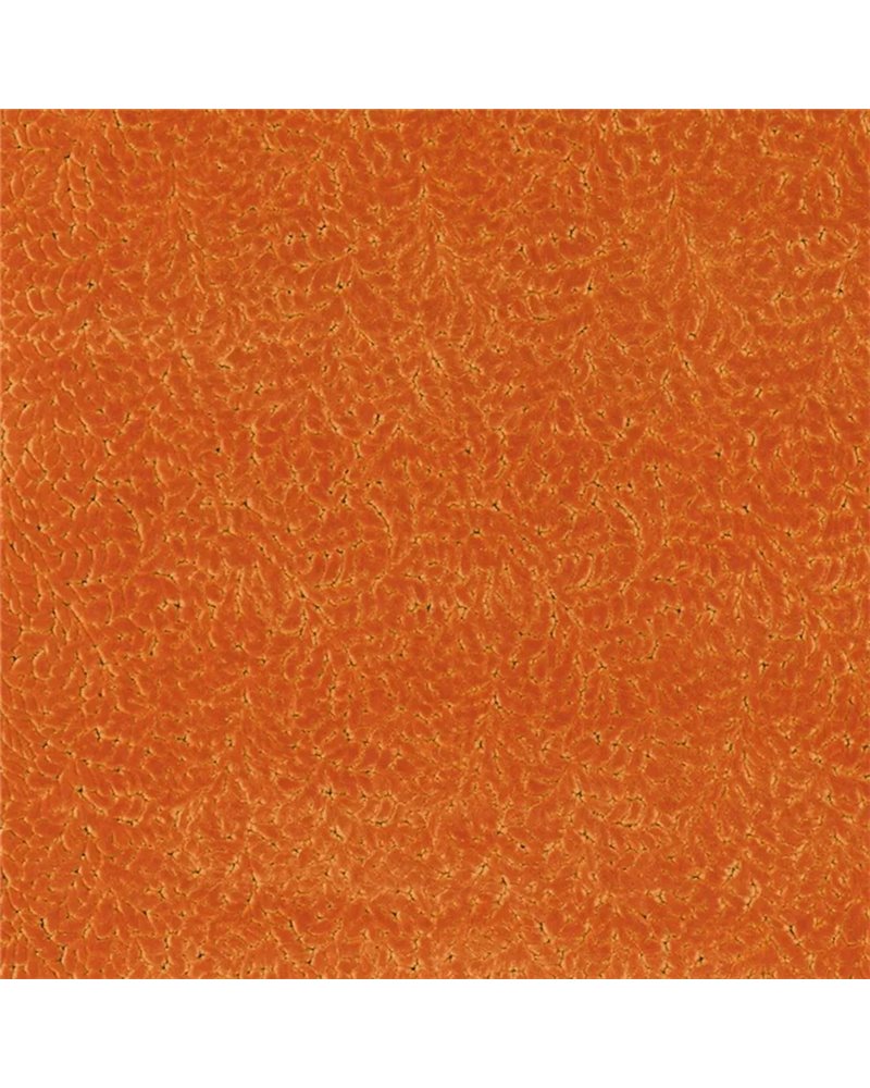 Cartouche Saffron FDG3087-07