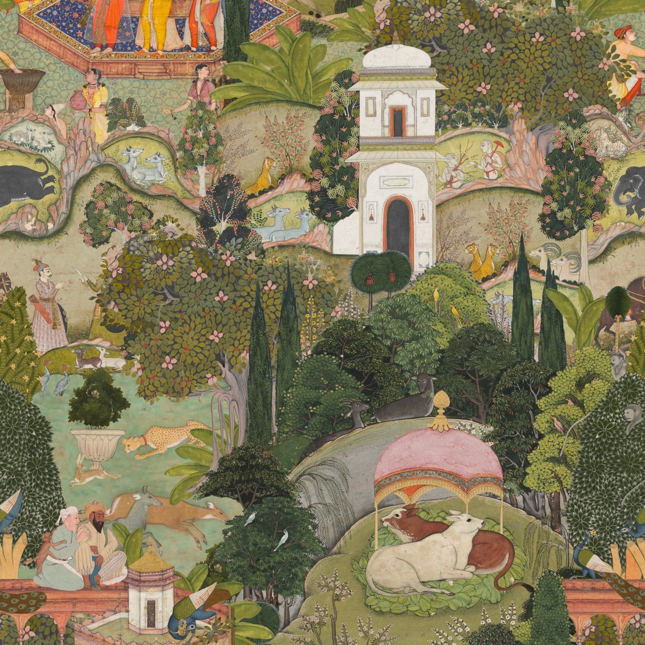 Gardens Of Jaipur WP20645