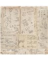 Math Premium WP20044
