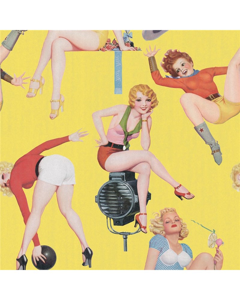 Pin-Up Girls Premium WP20068