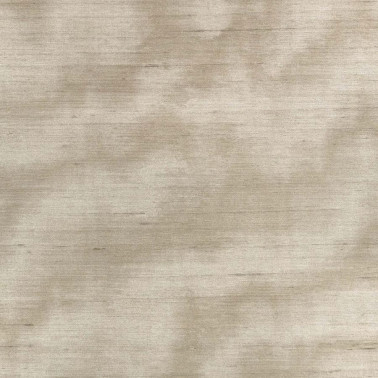 Caractere Taupe ZW143-02