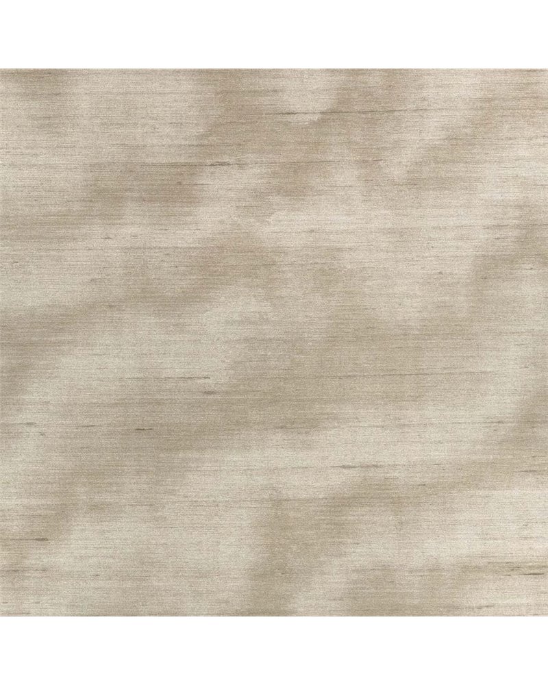 Caractere Taupe ZW143-02 Caractere Taupe ZW143-02
