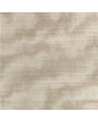 Caractere Taupe ZW143-02