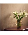 Sueded Brunello ZW141-08