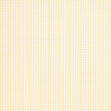 Leighton Check Soft Gold AW24510