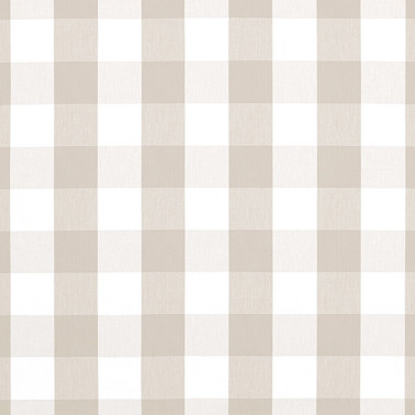 Hammond Check Linen AW24505