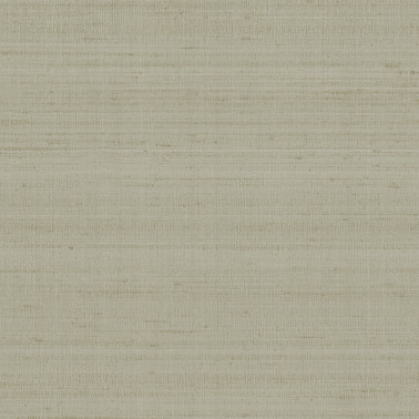 SETA N.9770
