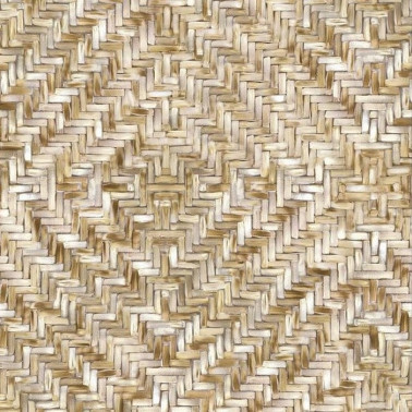 Terra 391563