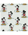 Mickey Stripe Sea Salt DDIW217271