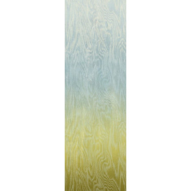 Moire Sea DG4MOI1073