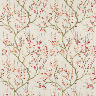 Taree Pink J0226-01