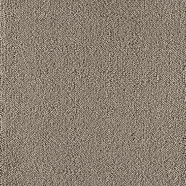 Plain Texture