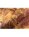 Reverie Tropicale Golden Hour 26771