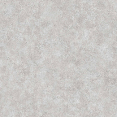 Riz Acier II B00037