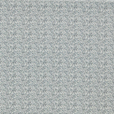 Swinley Denim F1703-02