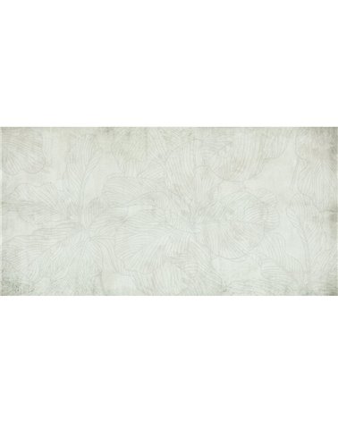 FICUS-SM011-2