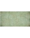 FICUS-SM011-3