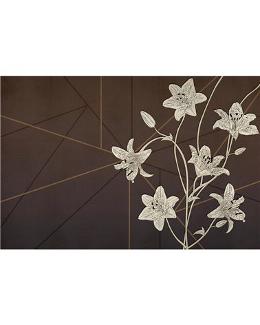 ODI-ET-AMO-VE079-1