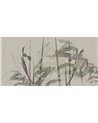 NARCISO-AP086-1