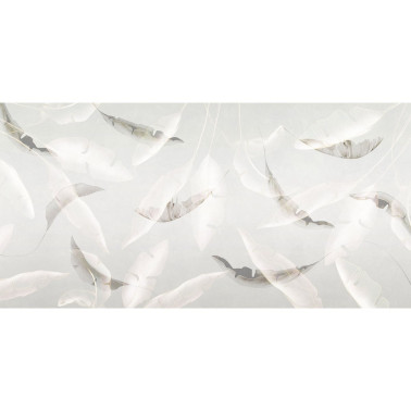 FLUTTUA-AP022-1