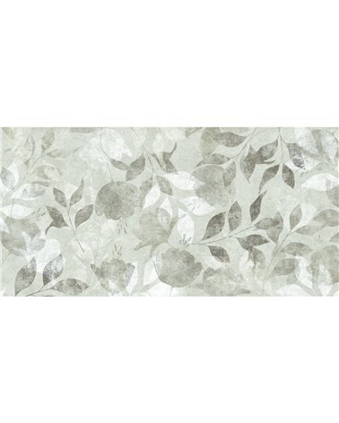 HOJA-SR001-2